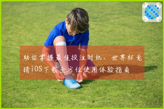 助你掌握最佳投注时机，世界杯竞猜iOS下载全方位使用体验指南