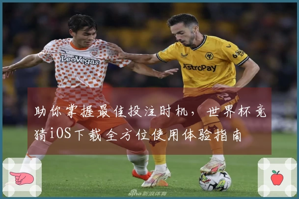 助你掌握最佳投注时机，世界杯竞猜iOS下载全方位使用体验指南